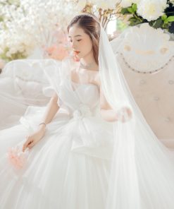 1582022 al giap nho0037