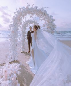 27032023 al phuongvy00027