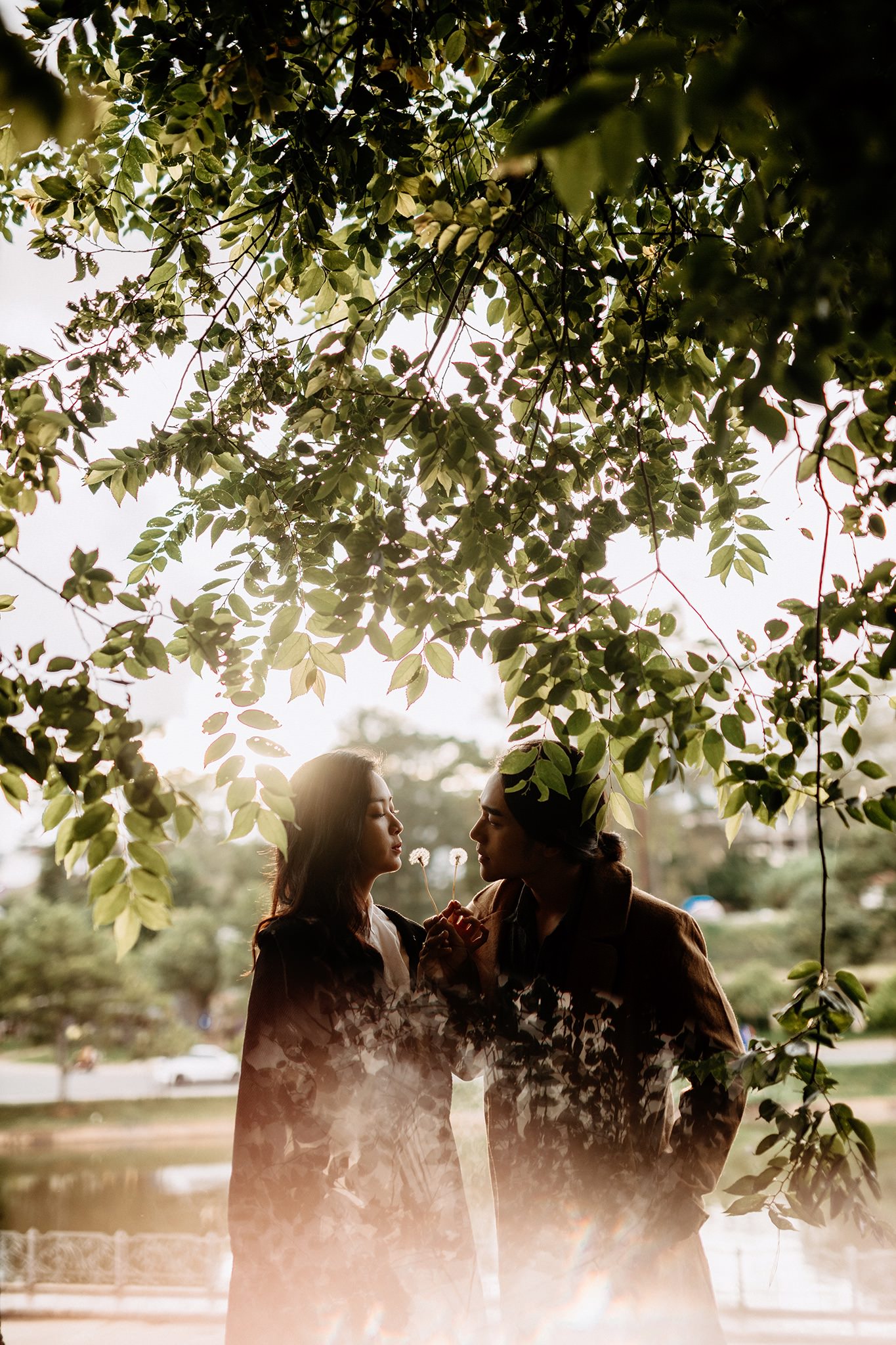 Gói Chụp Ảnh Cưới Đà Lạt 'Basic' | Trọn Gói 1 Ngày Đa Phong Cách 7 u30 3