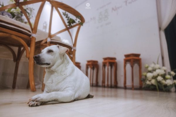 12072023 psc mytran00244