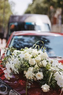 12072023 psc mytran01197